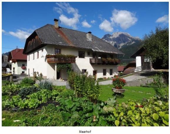 Lissis Bauernhof Appartments Gundersheim Exterior foto